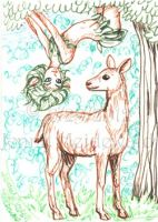 Friend of a Doe